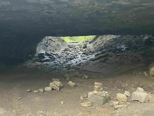 A view from inside a cave, showing a rocky floor and an opening leading to a green, wooded area outside.