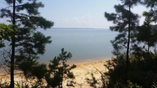 A serene view of a calm lake surrounded by trees and sandy shore under a clear blue sky.