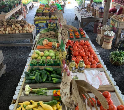 A vibrant farmers market display featuring a variety of fresh vegetables and fruits on wooden tables.