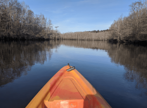 A kayak on calm water, surrounded by bare trees and a clear blue sky, reflecting the serene landscape.