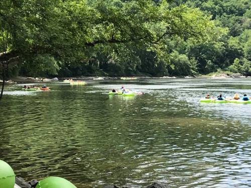 People floating on green inner tubes in a calm river surrounded by lush greenery and trees.