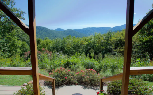 Scenic view of lush green mountains and a clear blue sky from a wooden deck, framed by flowers and foliage.