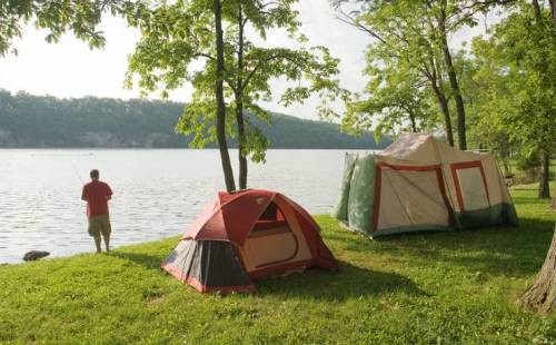 A person fishing by a lake with two tents set up on the grassy shore, surrounded by trees.