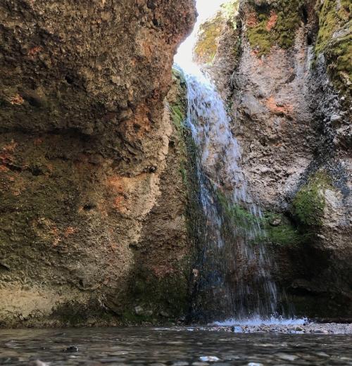 A small waterfall cascades down rocky cliffs, surrounded by moss and greenery, with sunlight shining above.