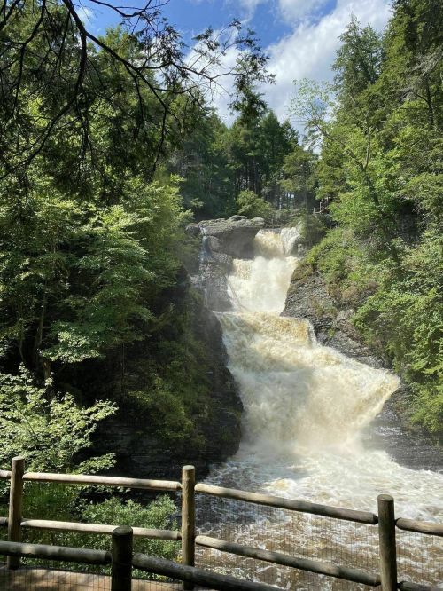 A cascading waterfall surrounded by lush green trees and a wooden railing in a serene natural setting.