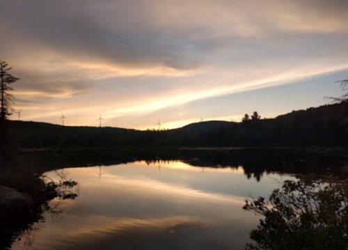 Sunset over a calm lake, with silhouettes of trees and wind turbines in the background against a colorful sky.