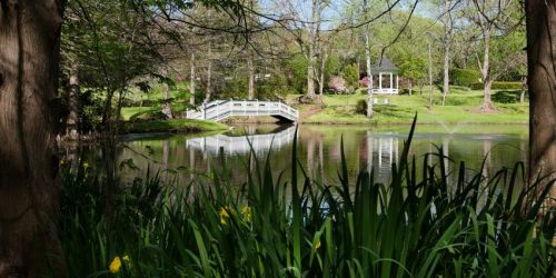 A serene park scene featuring a pond, a white bridge, and a gazebo surrounded by lush greenery and blooming flowers.