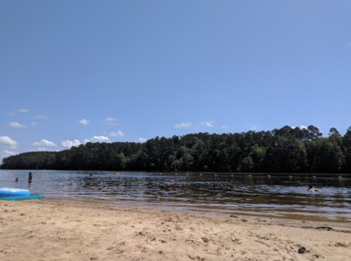 A sandy beach by a calm lake, with people swimming and trees lining the shore under a clear blue sky.