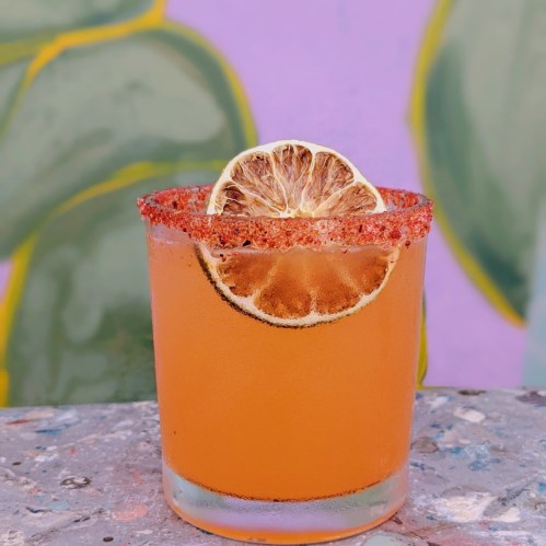 A refreshing cocktail with a salted rim and a dried lemon slice, set against a colorful background.
