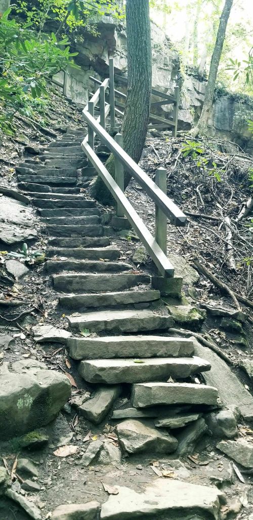 A stone staircase leads up a wooded path, flanked by a wooden railing and surrounded by lush greenery.