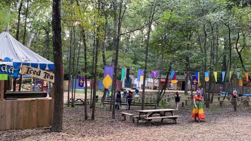 A wooded area with colorful flags, picnic tables, and people enjoying a festival atmosphere.