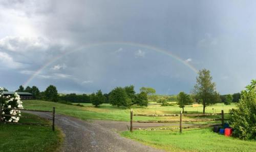 A vibrant rainbow arcs over a green landscape after a rainstorm, with trees and a gravel path in the foreground.
