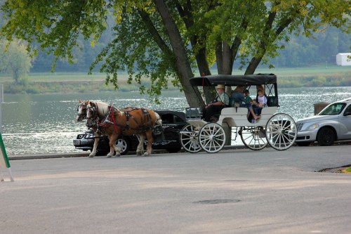 A horse-drawn carriage with passengers near a river, surrounded by parked cars and trees in the background.