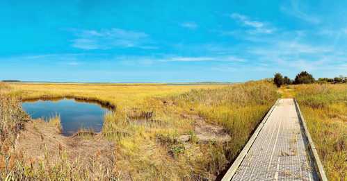 A wooden boardwalk leads through tall grasses to a calm pond under a clear blue sky.