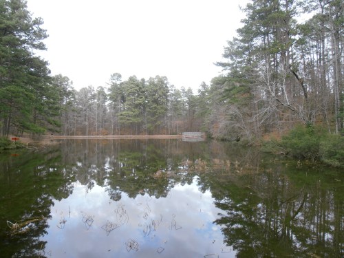 A serene pond surrounded by tall trees, reflecting the landscape in calm water under a cloudy sky.