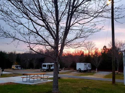 A campsite at sunset, featuring RVs, a picnic table, and a bare tree against a colorful sky.