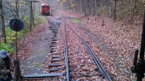 A train track surrounded by autumn leaves, with a red train in the distance and trees lining the path.