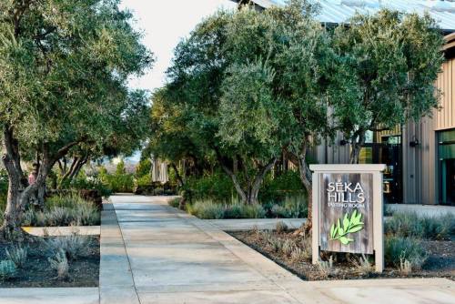 Pathway leading to the Seka Hills Tasting Room, surrounded by olive trees and landscaped greenery.