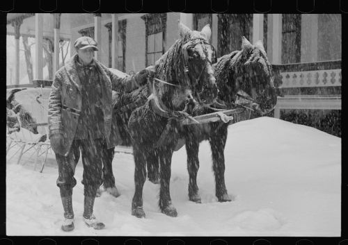 A man stands beside two horses in a snowstorm, with snow covering the ground and buildings in the background.