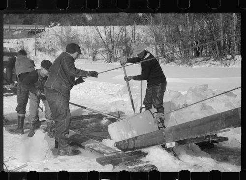 Workers cutting and hauling ice blocks from a frozen surface, surrounded by snow and trees in a winter landscape.