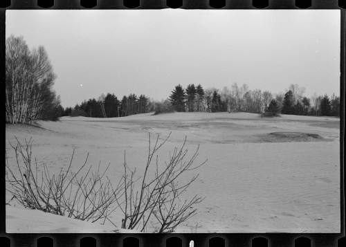 A black and white landscape of a snowy golf course with sparse trees and a cloudy sky.