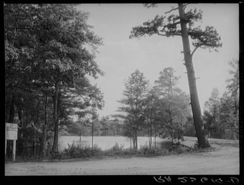 A serene landscape featuring a pond surrounded by trees, with a dirt road and a sign in the foreground.