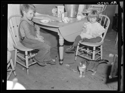 Two children sit at a table with a cat nearby, surrounded by dishes and a rustic interior.