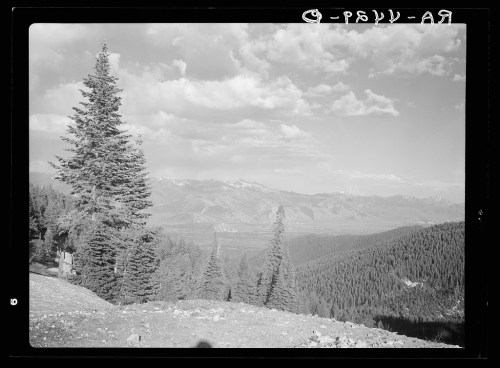 A scenic view of mountains and trees under a cloudy sky, captured in black and white.