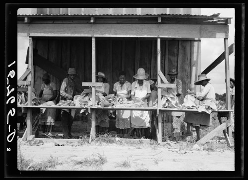 A group of people working at a wooden table outside a building, sorting and processing leaves under a sunny sky.