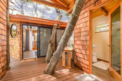 A cozy wooden interior with large windows, featuring a tree trunk and a bathroom door in a unique, nature-inspired design.