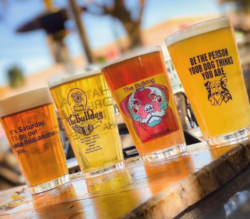 Four colorful beer glasses on a table, featuring playful designs and slogans, with a sunny outdoor setting in the background.