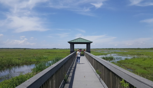 A person walks along a wooden boardwalk leading to a viewing platform, surrounded by lush wetlands and blue skies.