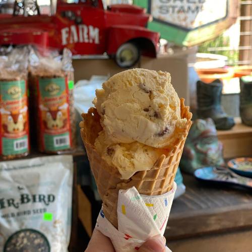 A hand holding a waffle cone filled with creamy ice cream, with a rustic farm-themed background.