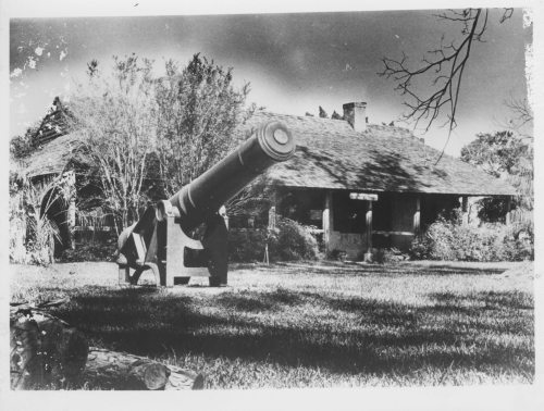 A historic cannon in a grassy area, with a house and trees in the background, captured in black and white.