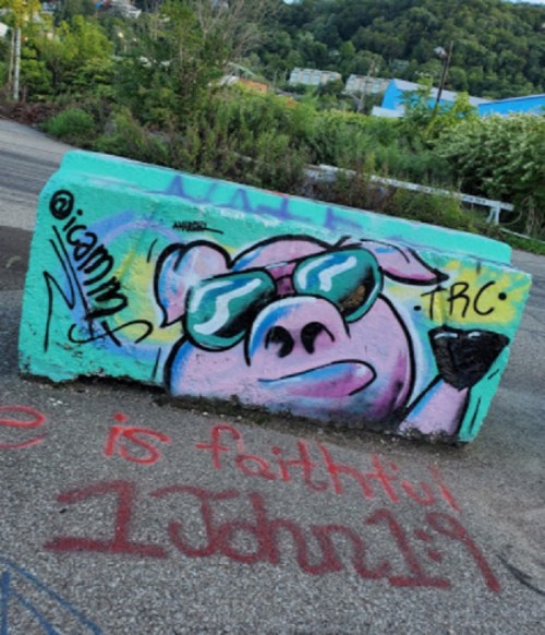Colorful graffiti of a pig wearing sunglasses on a concrete barrier, with text referencing 1 John 1:9.