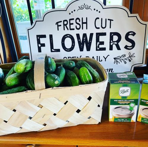 A basket of cucumbers next to a sign that reads "Fresh Cut Flowers Open Daily."