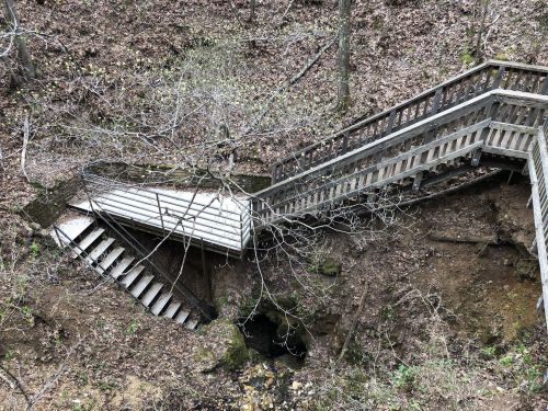A wooden staircase winds down a hillside, surrounded by bare trees and earthy terrain, leading to a small stream.
