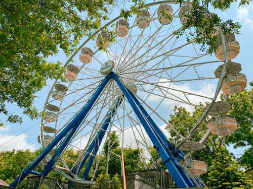 A colorful Ferris wheel stands against a blue sky, surrounded by lush green trees.