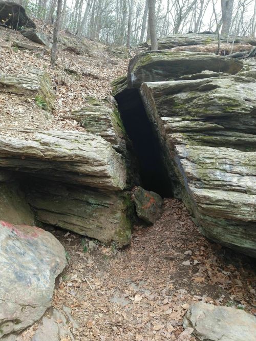 A rocky entrance to a cave surrounded by trees and fallen leaves on the forest floor.