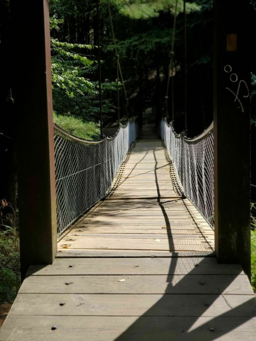 A wooden suspension bridge stretches into a lush green forest, with sunlight casting shadows on the path.