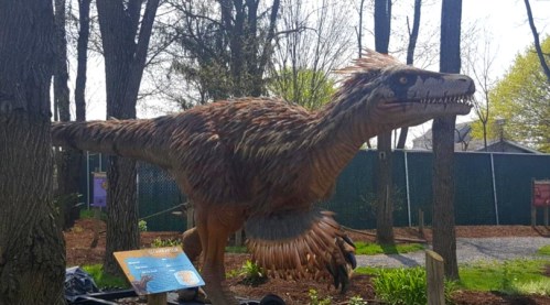 A life-sized dinosaur sculpture in a wooded area, showcasing detailed features and a dynamic pose.