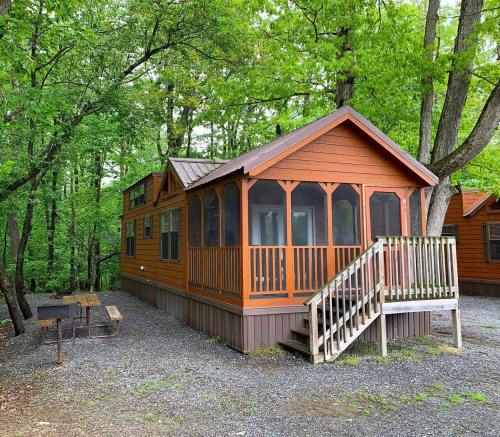 A cozy orange cabin with a porch, surrounded by lush green trees and gravel, featuring a picnic table nearby.