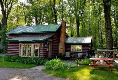 A cozy log cabin with a green metal roof, surrounded by trees and a small patio with picnic tables.