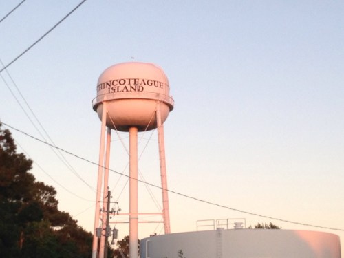 Water tower labeled "Chincoteague Island" against a pastel sky, surrounded by trees and power lines.