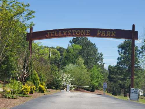 Entrance sign for Jellystone Park, surrounded by trees and greenery, with a clear blue sky above.