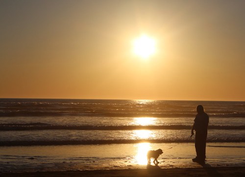 Silhouette of a person walking a dog on the beach at sunset, with golden light reflecting on the water.