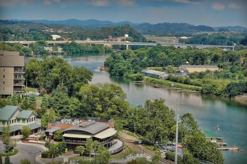 A scenic view of a river surrounded by lush greenery, with buildings and bridges in the background.