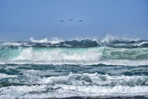 Waves crashing on a beach with a clear blue sky and four birds flying overhead.