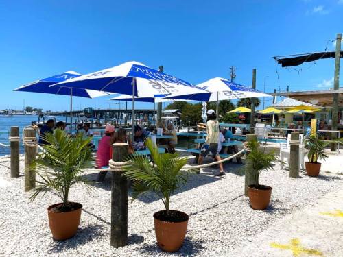 Outdoor dining area by the water, featuring umbrellas, palm plants, and people enjoying a sunny day.