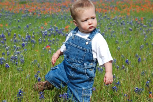 A toddler in denim overalls stands in a colorful field of wildflowers, looking thoughtfully to the side.